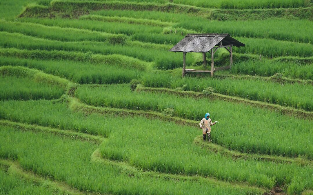Strategi Peningkatan Keterampilan Ekonomi Masyarakat Desa Duri Kepa